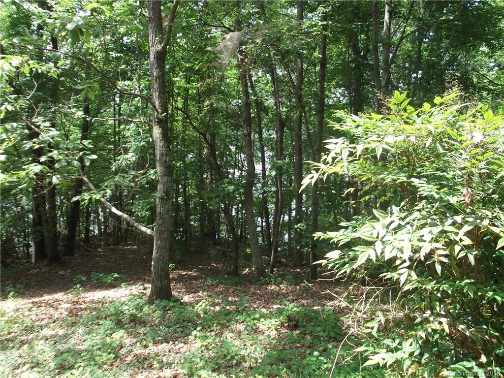 44-45 Stewart Rock Road Stony Point, NC 28678 - Photo 6 of 8 Gallery Image 6