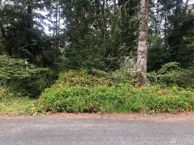 29401 R Lane Ocean Park, WA 98640 - Photo 1 of 5 Gallery Image 1