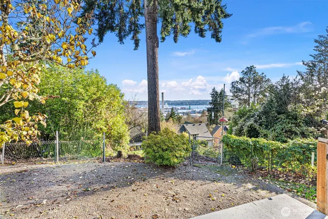 a view of a yard with plants and a large tree