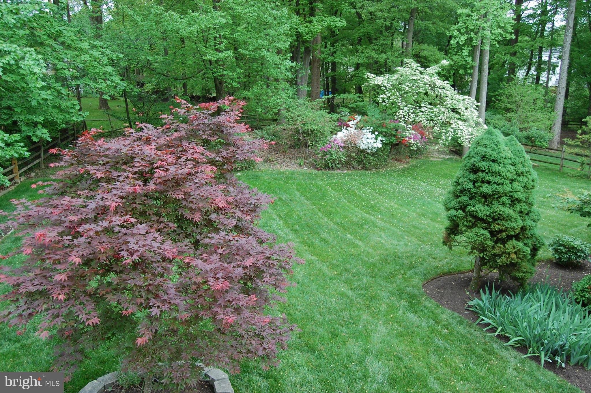 2209 Parallel Lane Silver Spring, MD 20904 - Photo 28 of 30 a view of a garden with plants and large trees