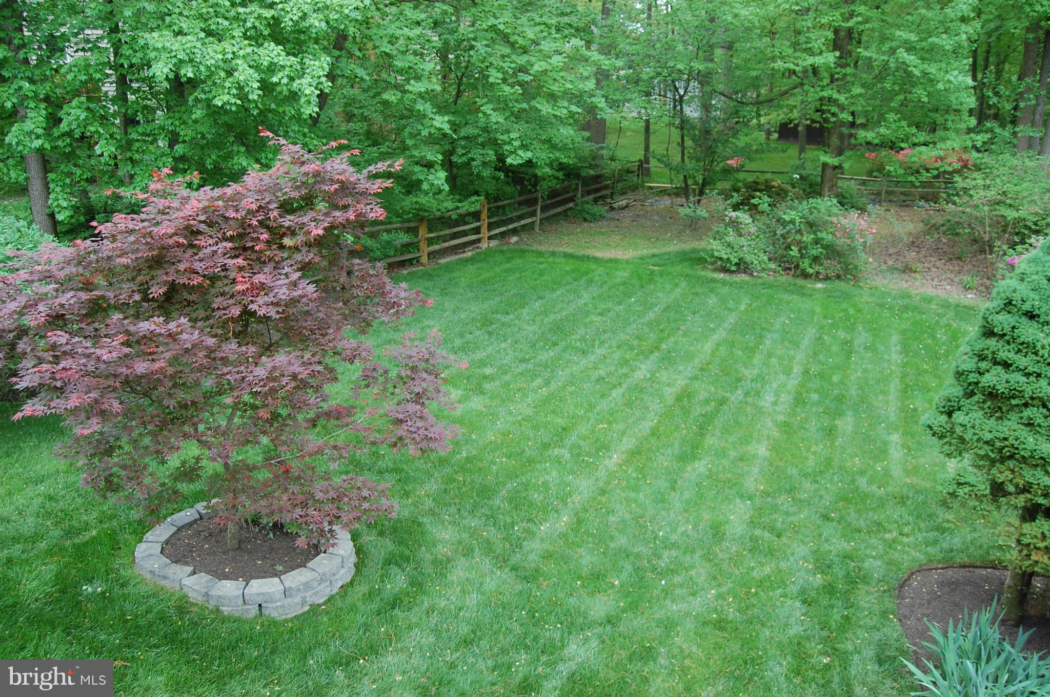 2209 Parallel Lane Silver Spring, MD 20904 - Photo 29 of 30 a big yard with lots of green space and plants