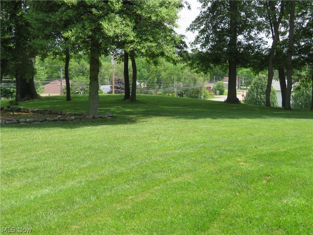 1298 Killian Road Akron, OH 44312 - Photo 12 of 35 Manicured lot