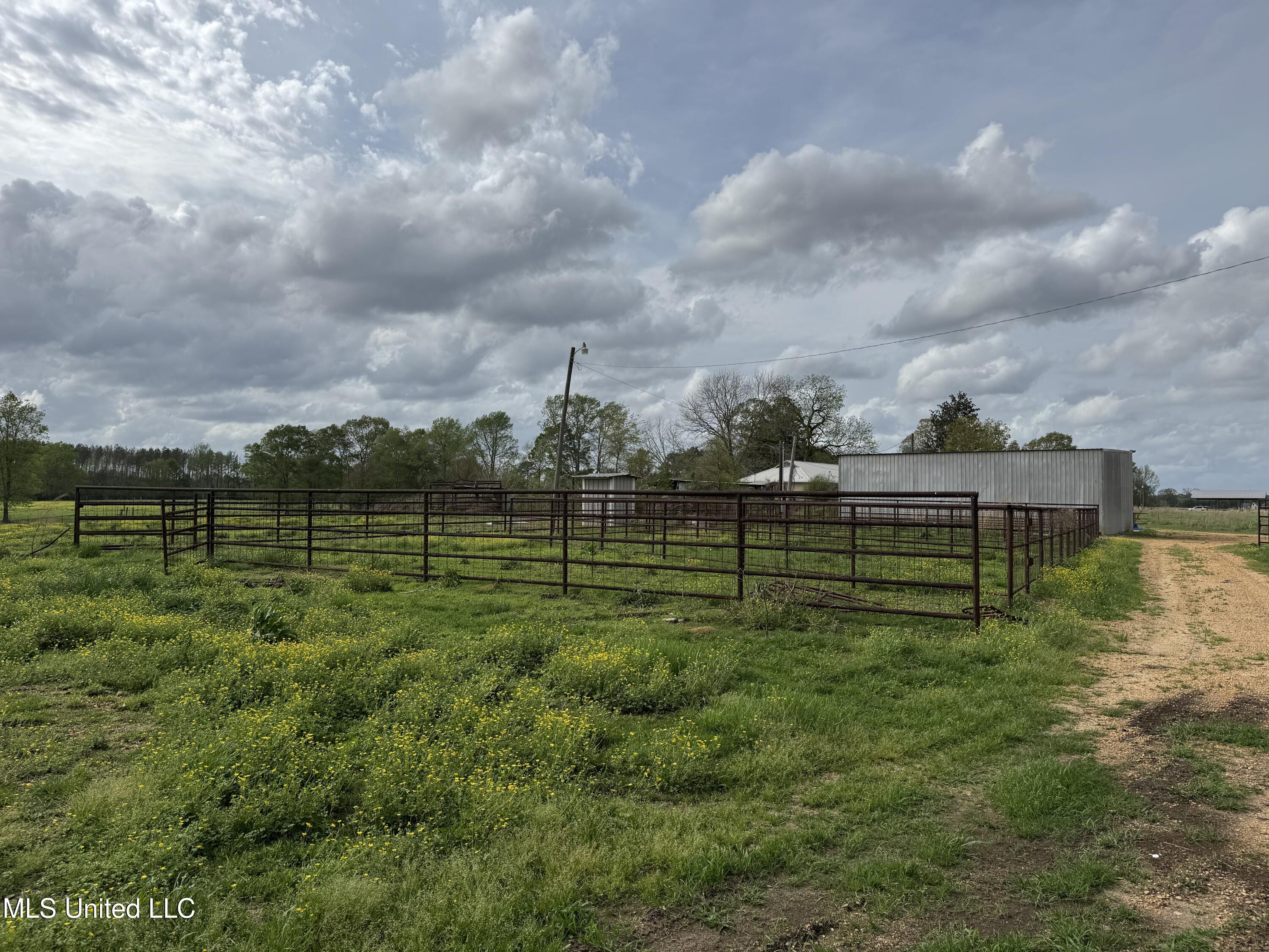 2509 Bogue Chitto Road Southwest Smithdale, MS 39664 - Photo 17 of 69 Photo Apr 02 2025, 16 18 41