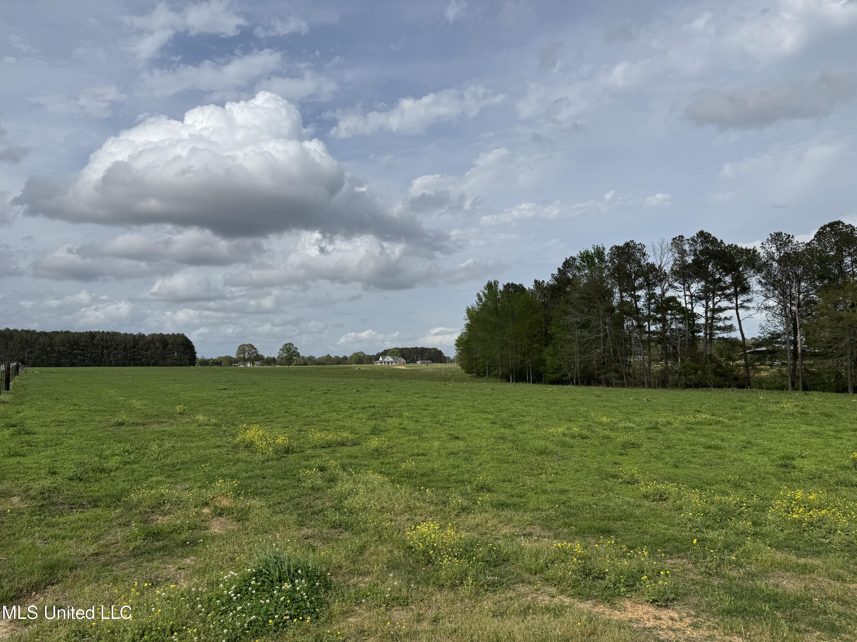 2509 Bogue Chitto Road Southwest Smithdale, MS 39664 - Photo 54 of 69 Photo Apr 02 2025, 16 33 10