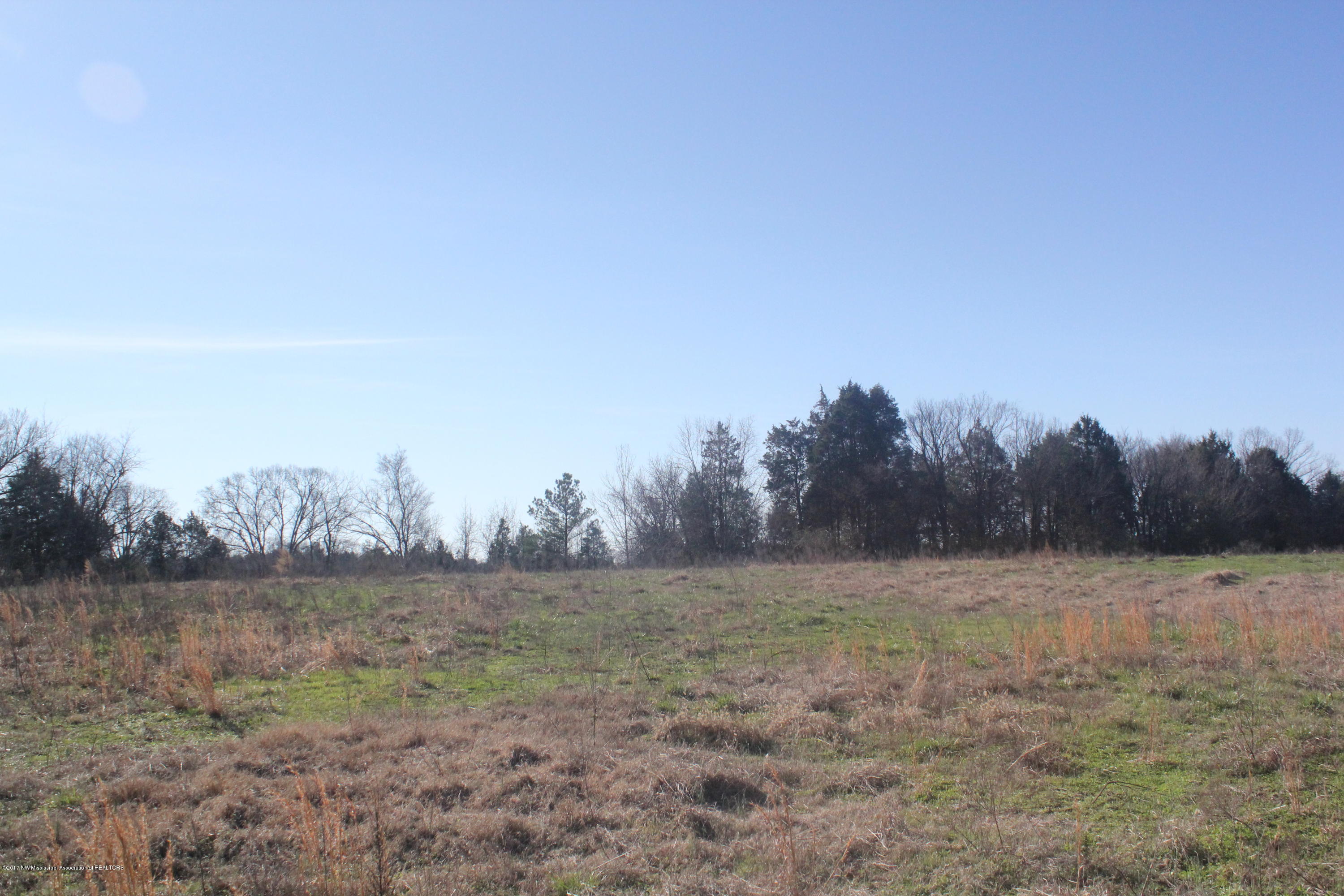1 Carrington Road Byhalia, MS 38611 - Photo 1 of 16 002