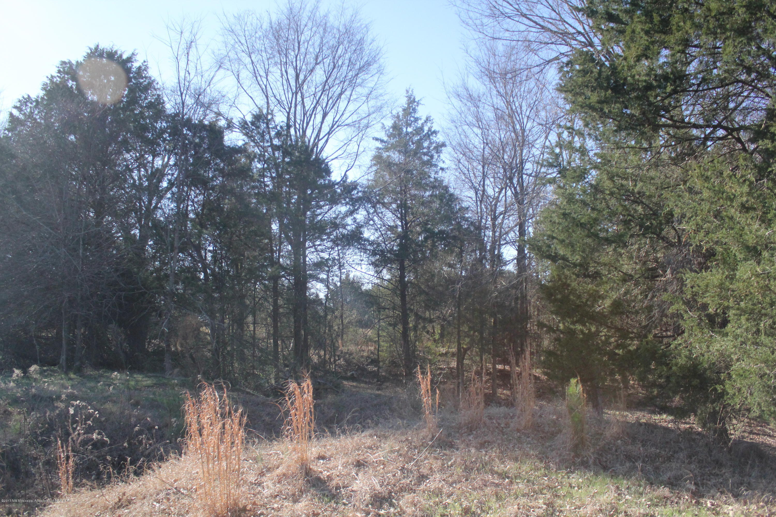 1 Carrington Road Byhalia, MS 38611 - Photo 11 of 16 012