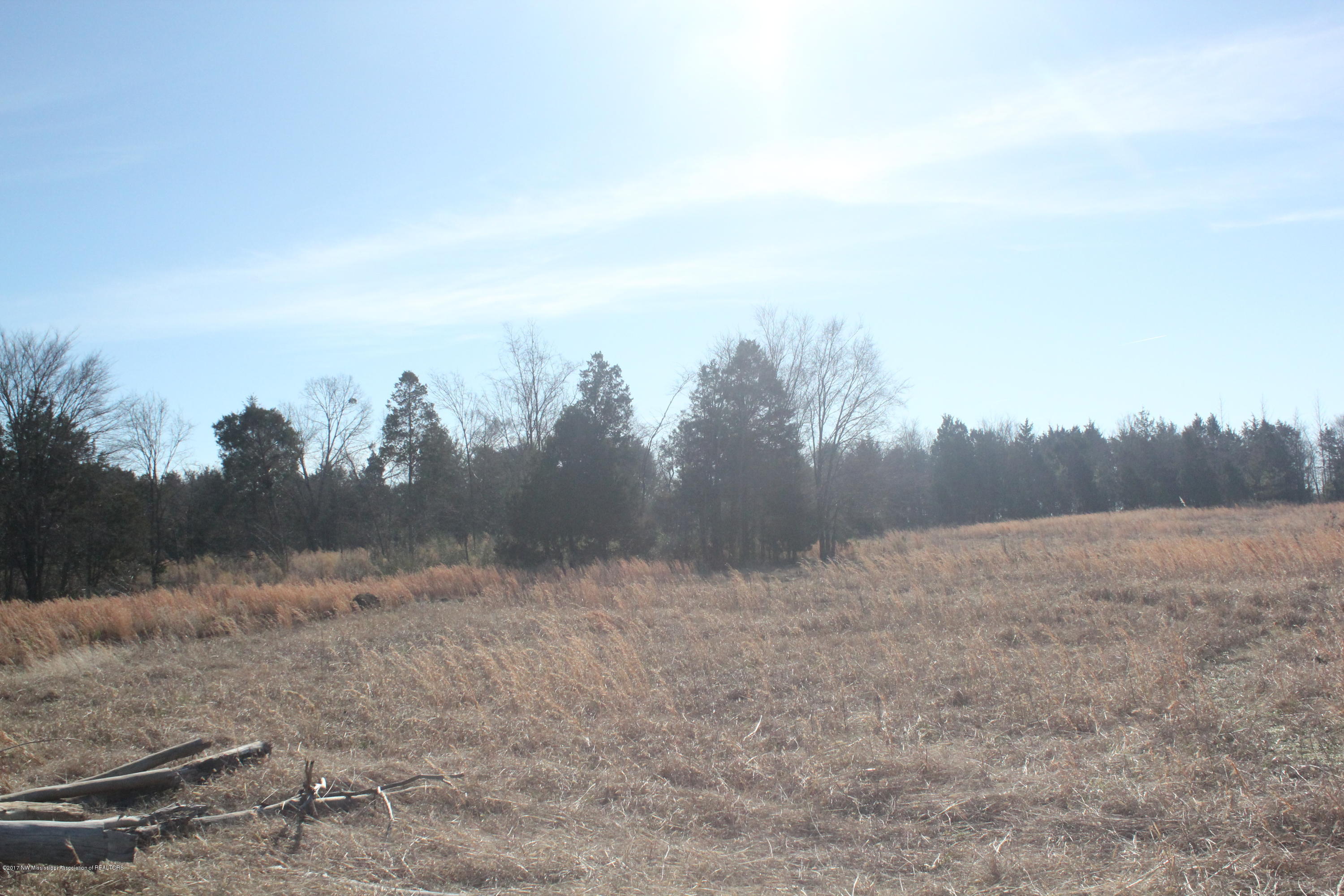 1 Carrington Road Byhalia, MS 38611 - Photo 14 of 16 015
