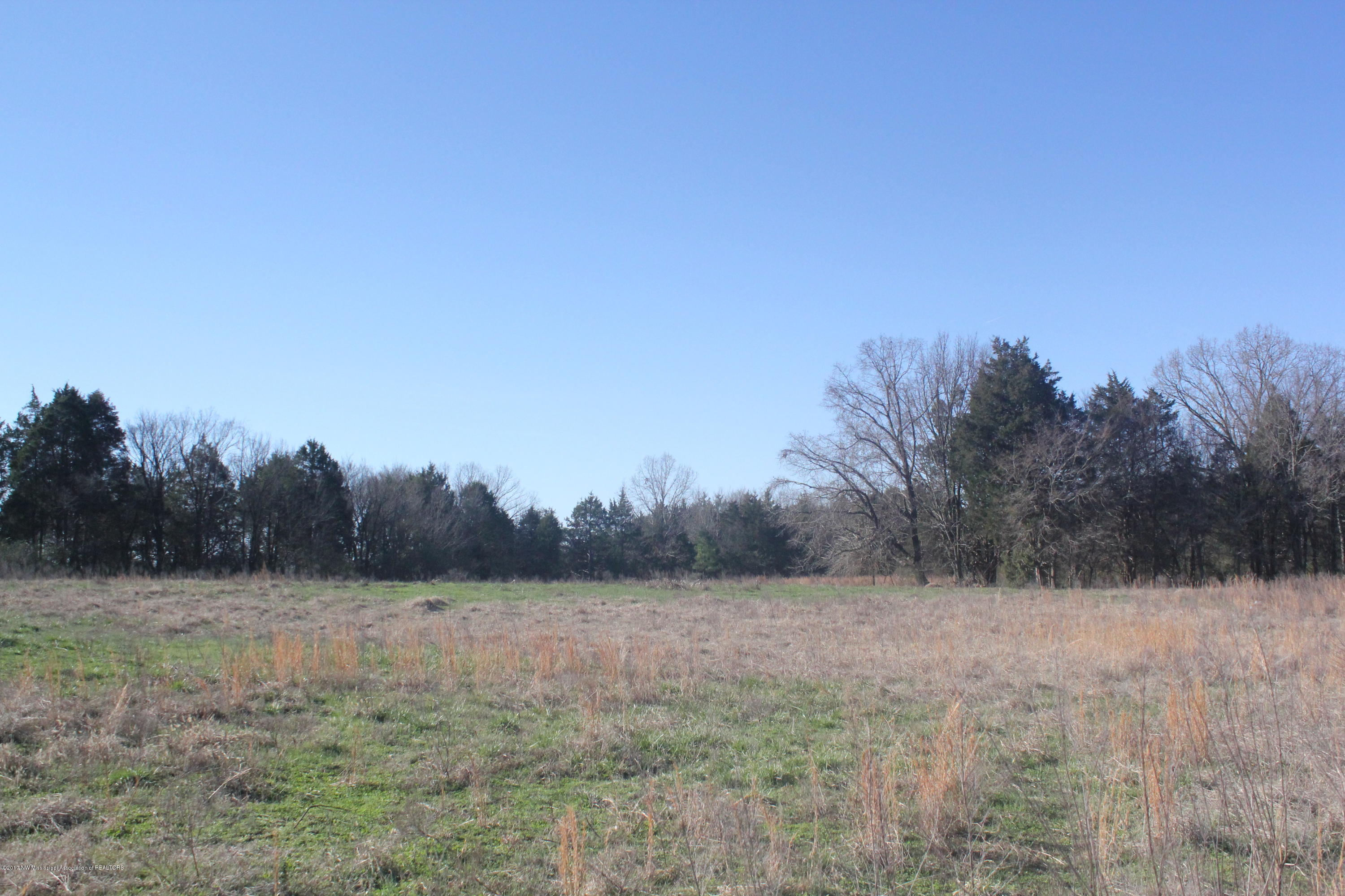 1 Carrington Road Byhalia, MS 38611 - Photo 2 of 16 003