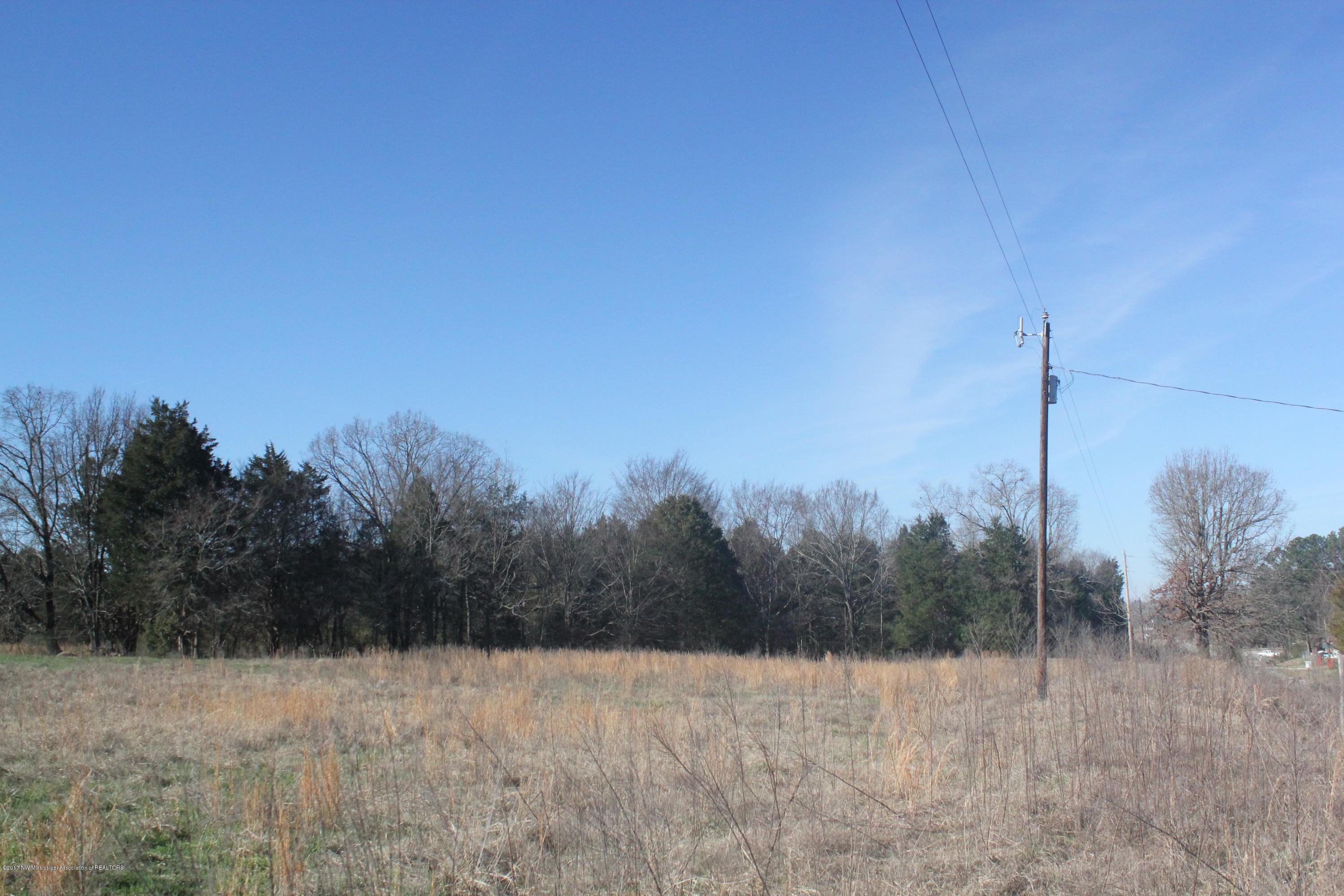 1 Carrington Road Byhalia, MS 38611 - Photo 3 of 16 004