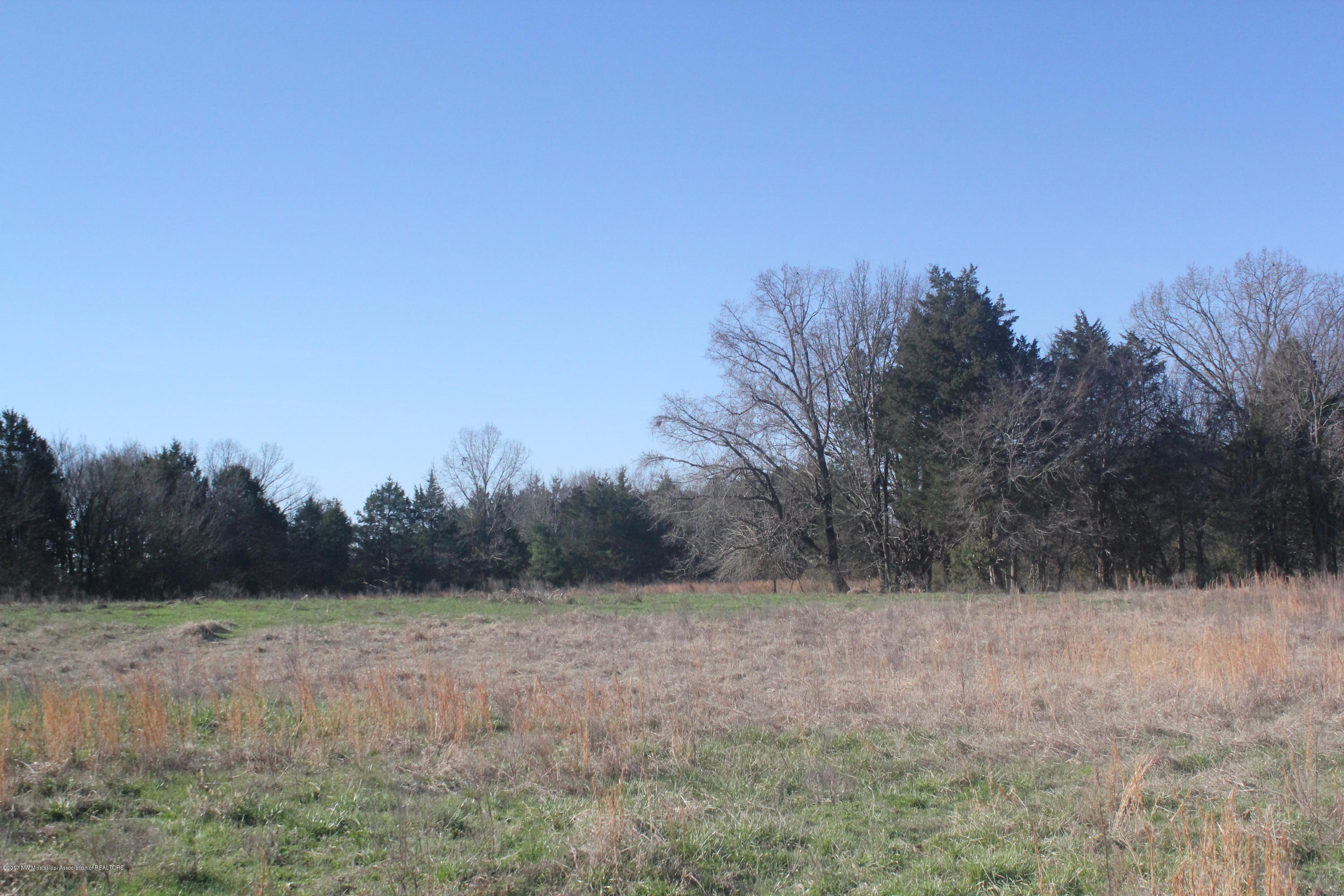 1 Carrington Road Byhalia, MS 38611 - Photo 4 of 16 005