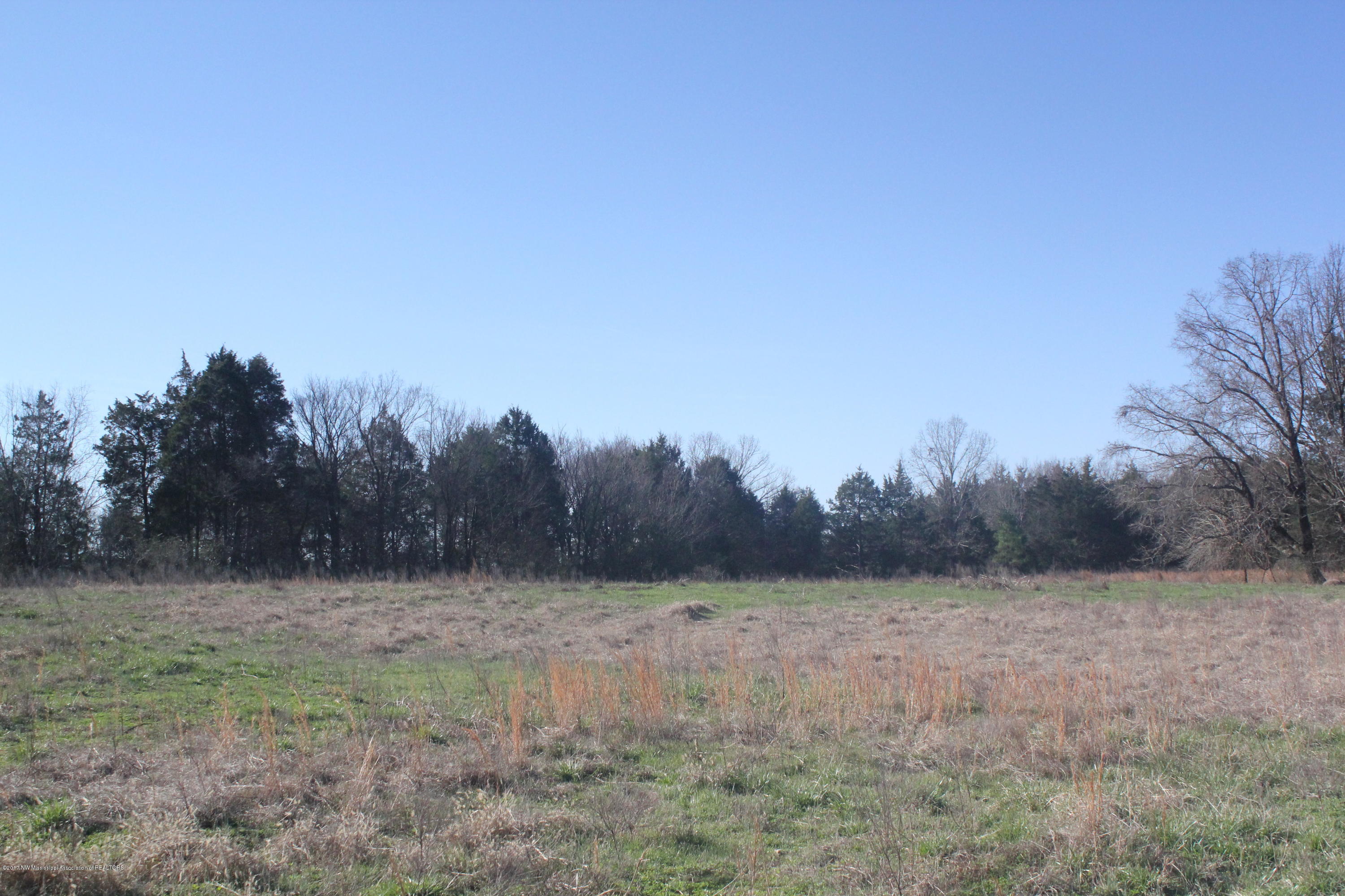 1 Carrington Road Byhalia, MS 38611 - Photo 5 of 16 006
