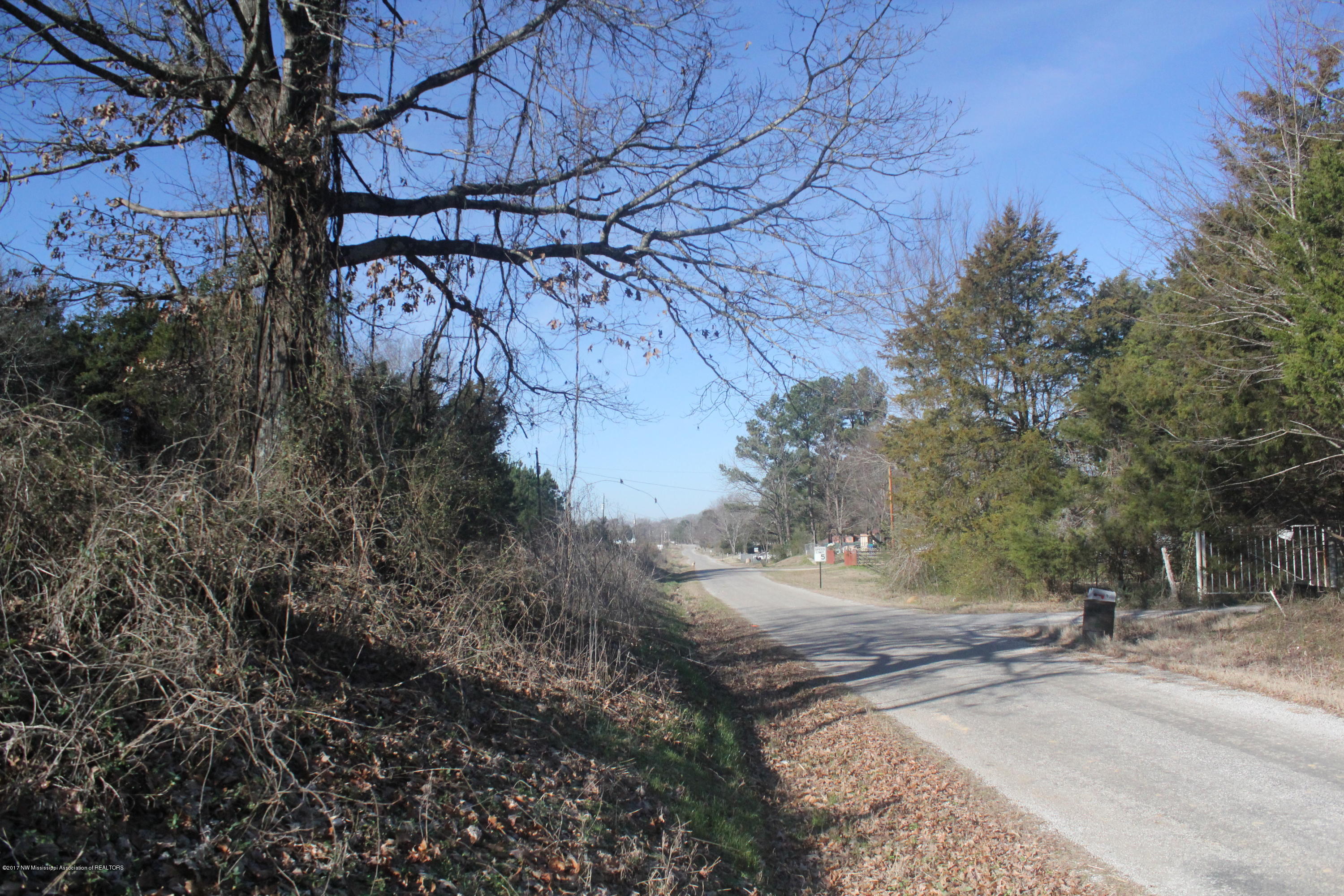 1 Carrington Road Byhalia, MS 38611 - Photo 7 of 16 008