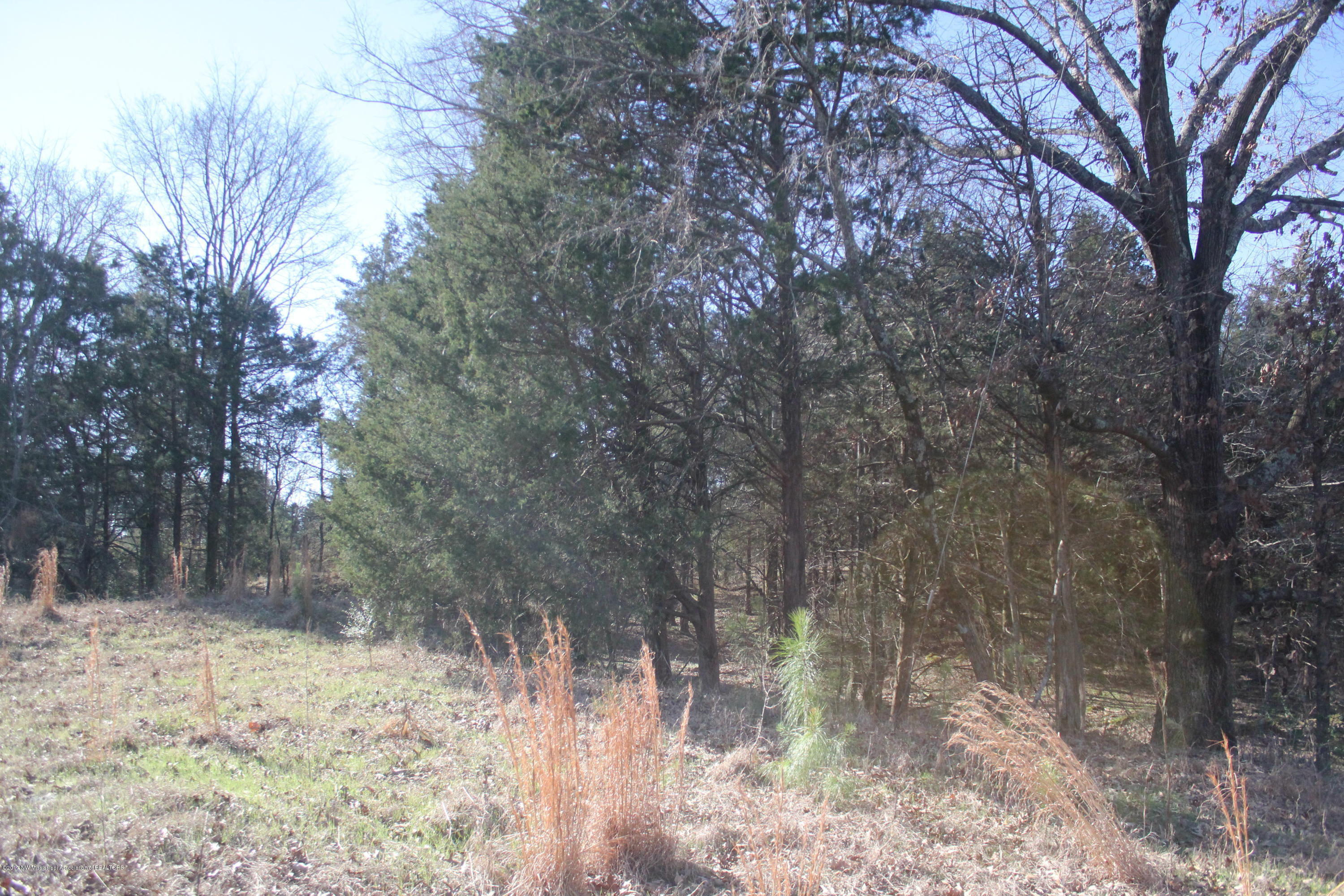 1 Carrington Road Byhalia, MS 38611 - Photo 9 of 16 010
