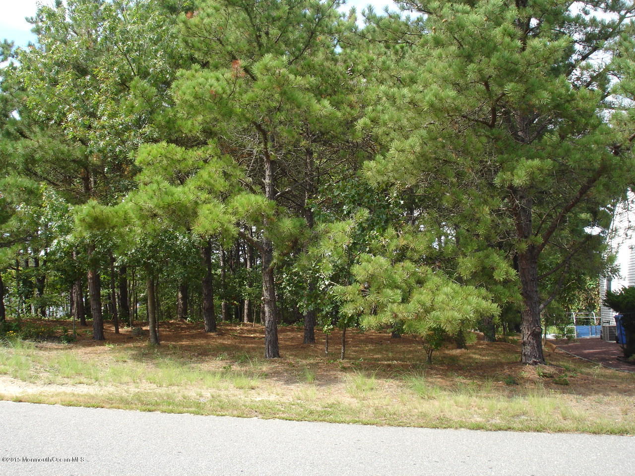 236 Commodore Road Manahawkin, NJ 08050 - Photo 2 of 5 396 Yeoman and Lot 006