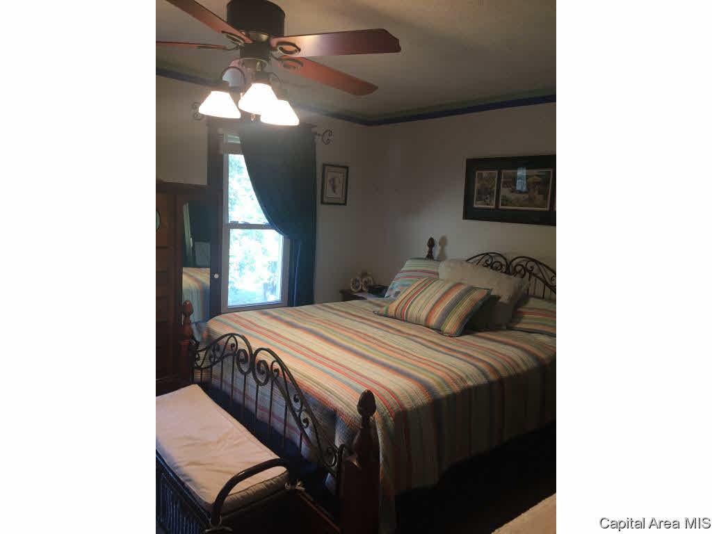 438 West Vine Street Springfield, IL 62704 - Photo 19 of 36
