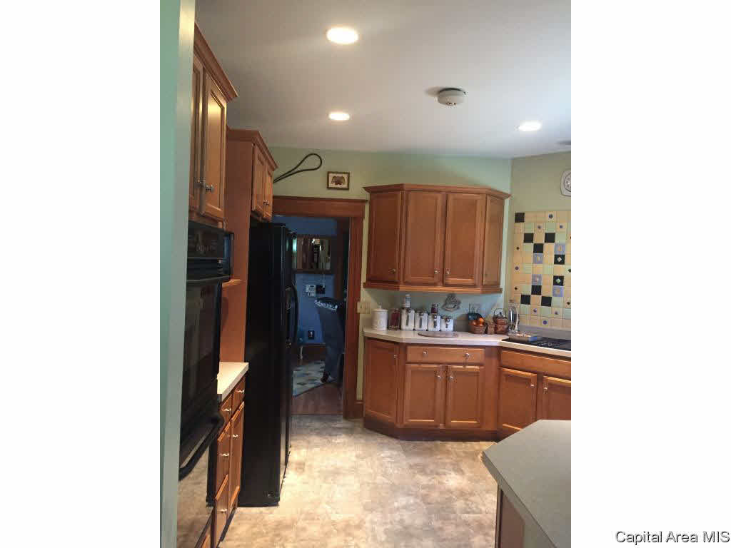 438 West Vine Street Springfield, IL 62704 - Photo 7 of 36