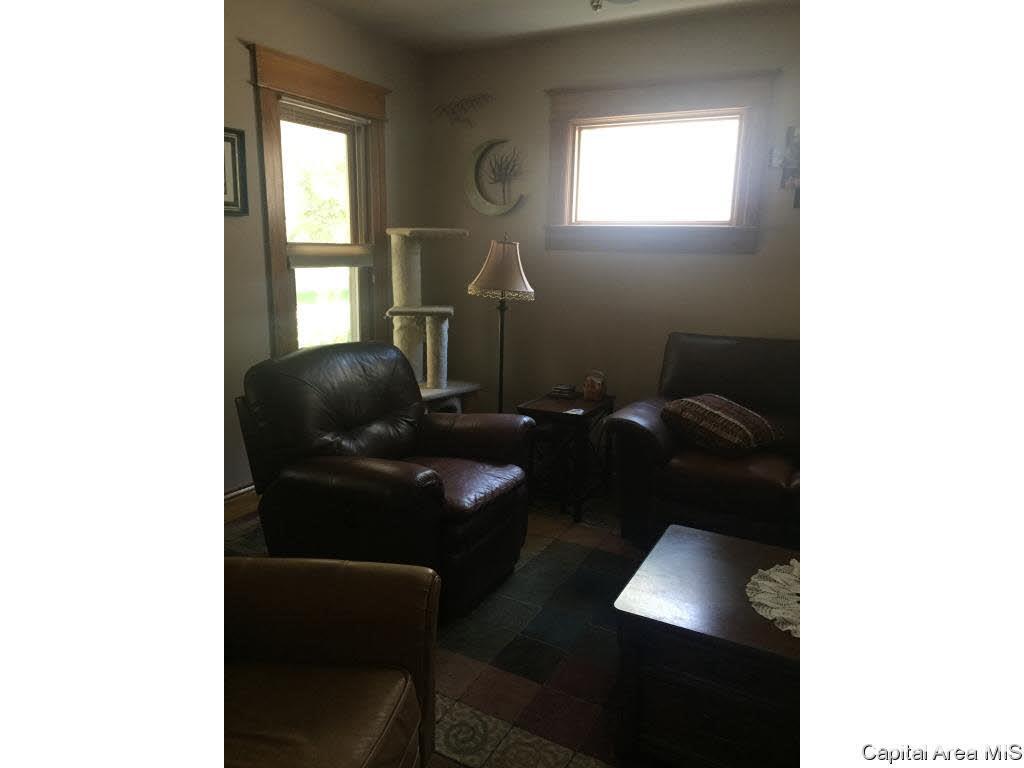 438 West Vine Street Springfield, IL 62704 - Photo 8 of 36
