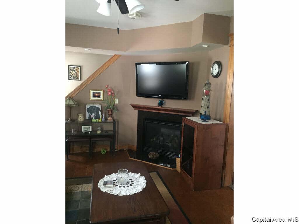 438 West Vine Street Springfield, IL 62704 - Photo 9 of 36