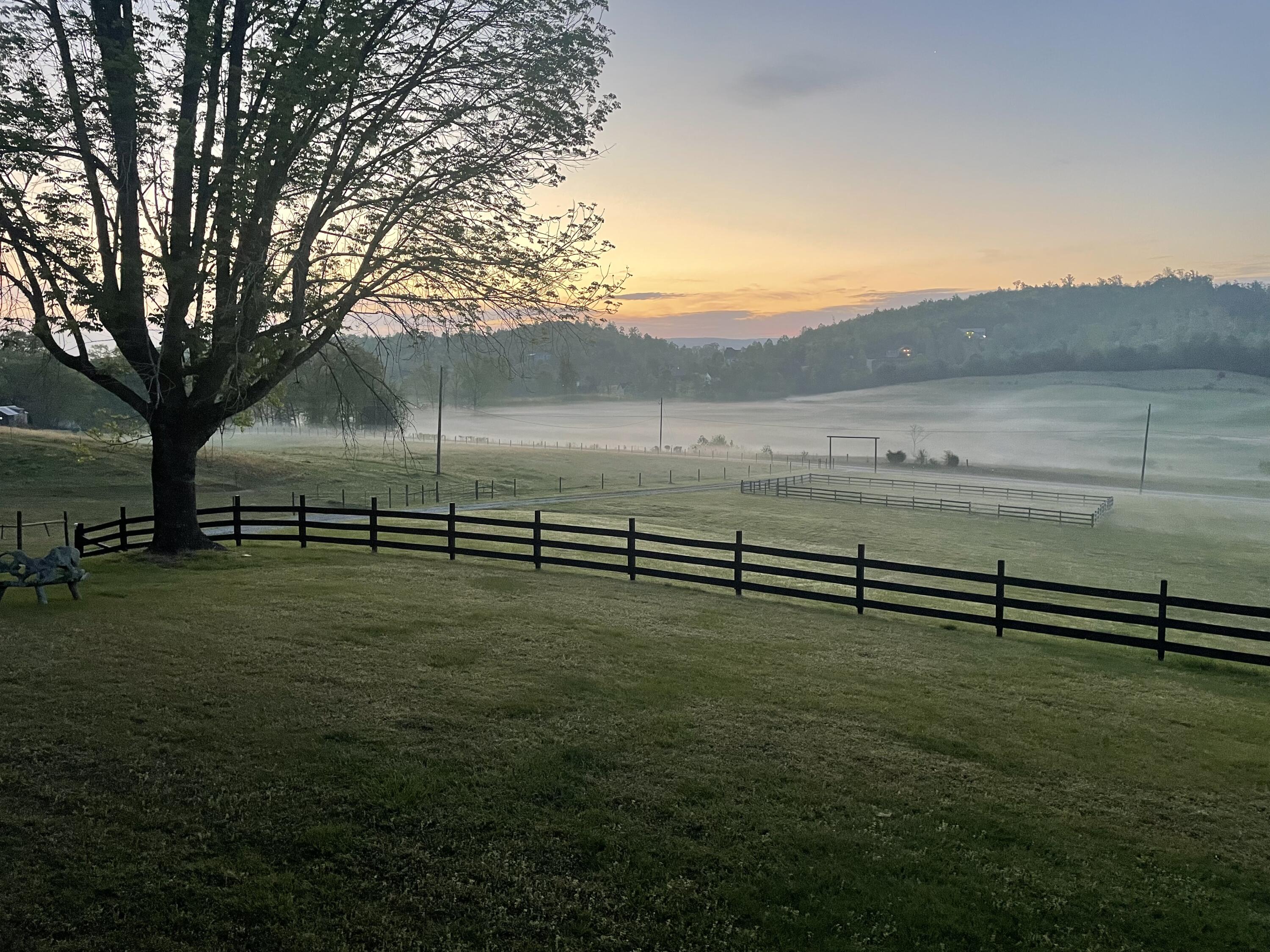 02CE65A8-56D1-4625-89B4-F7DE9CE8DA21.HEI