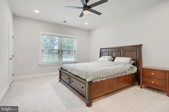 a view of a park with large trees