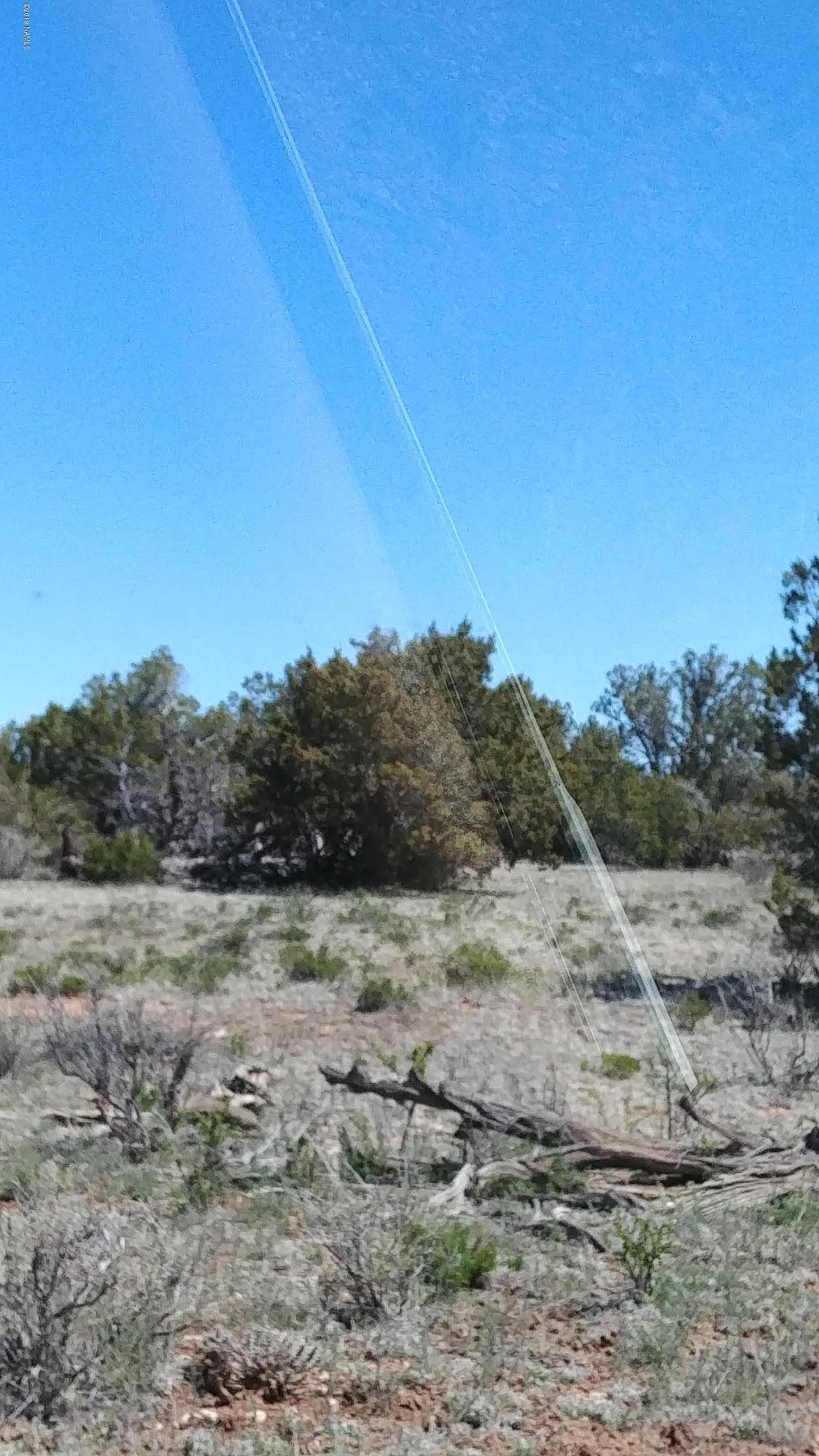 877 North Avondale Road Williams, AZ 86046 - Photo 3 of 4 0418191116