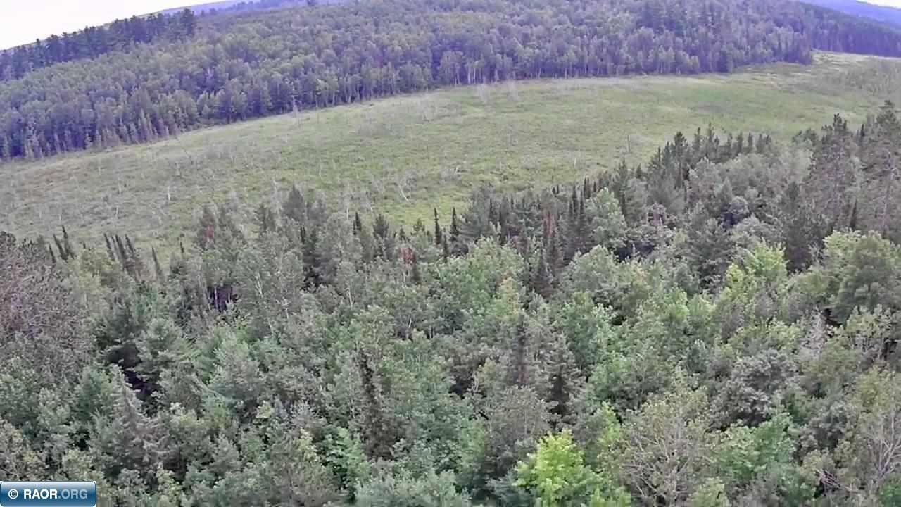Tbd Tbd Haley Road/arrowhead Trail Cook, MN 55723 - Photo 29 of 40