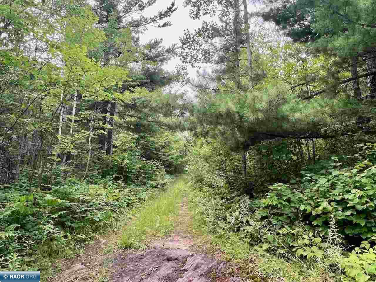 Tbd Tbd Haley Road/arrowhead Trail Cook, MN 55723 - Photo 31 of 40