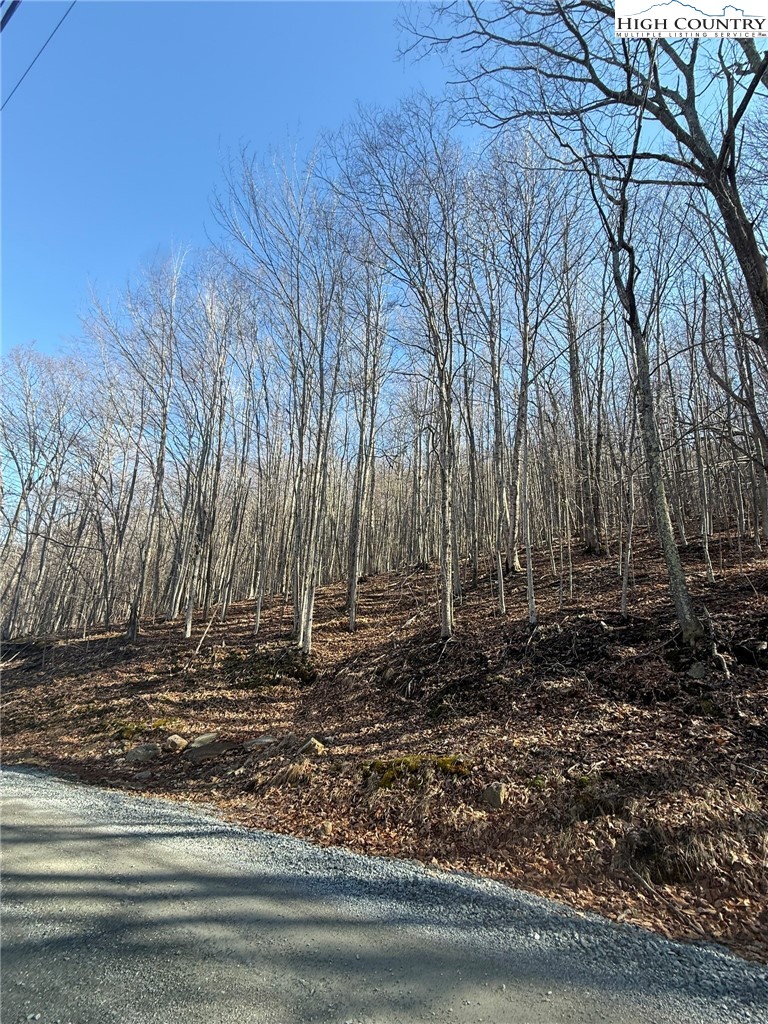 134 Locust Ridge Road Beech Mountain, NC 28604 - Photo 2 of 10 a view of a backyard of the house