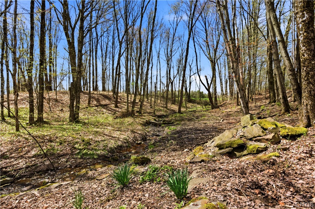6561 Quaker Hill Road Western, NY 13303 - Photo 38 of 50