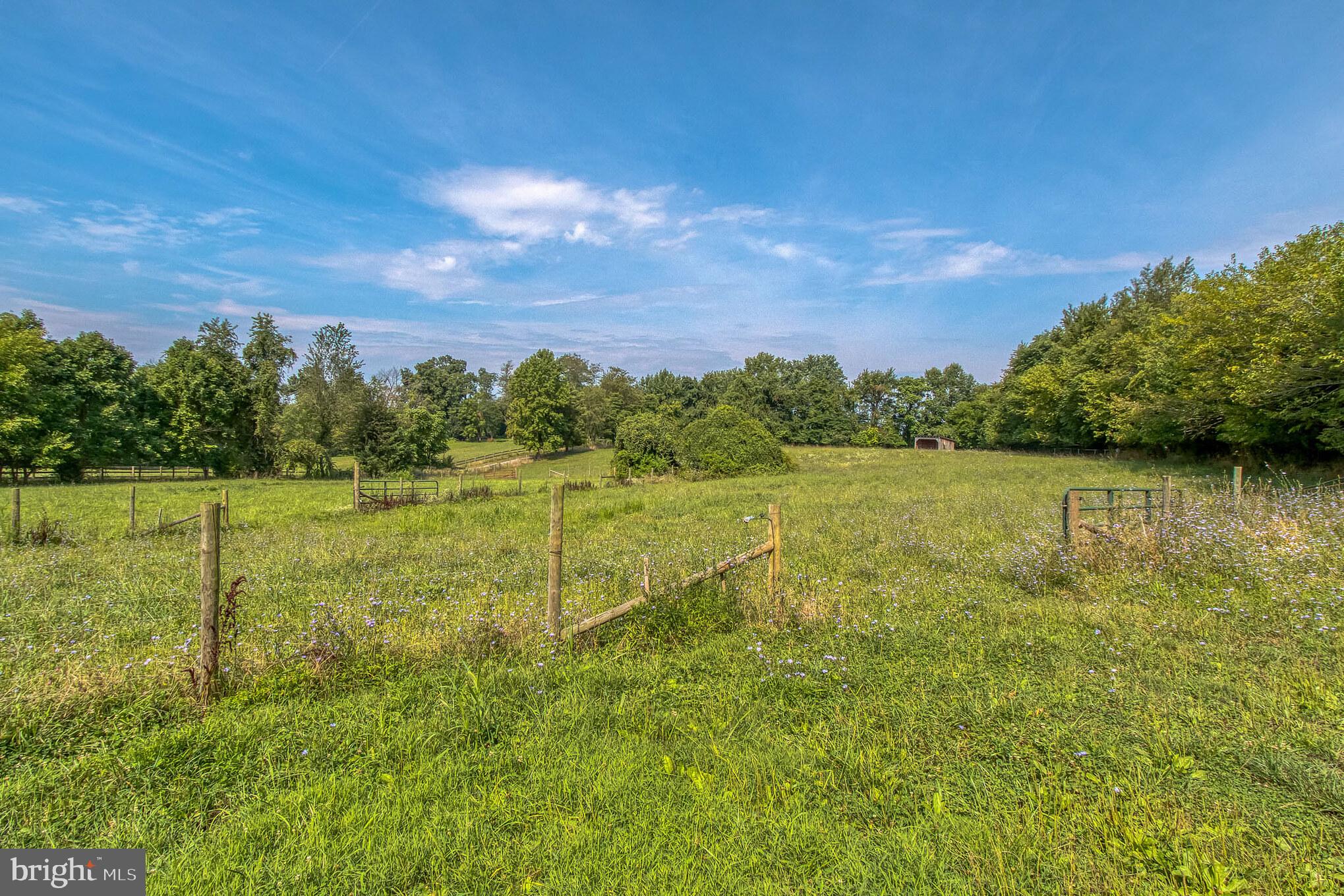 22610 Peach Tree Road Boyds, MD 20841 - Photo 39 of 40