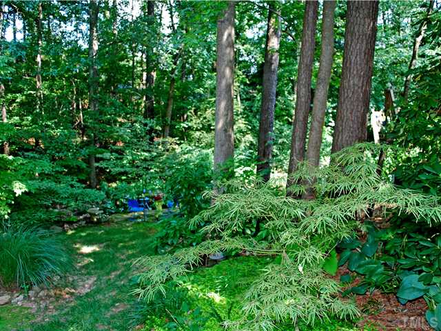1306 Hampshire Court Raleigh, NC 27612 - Photo 12 of 12 a view of a lush green forest