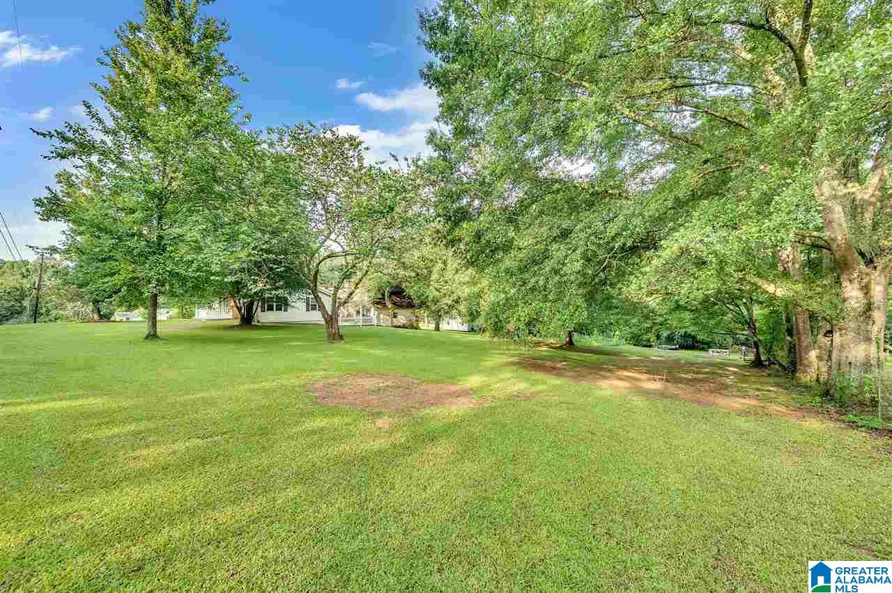 7420 Old Dixiana Road Pinson, AL 35126 - Photo 33 of 35