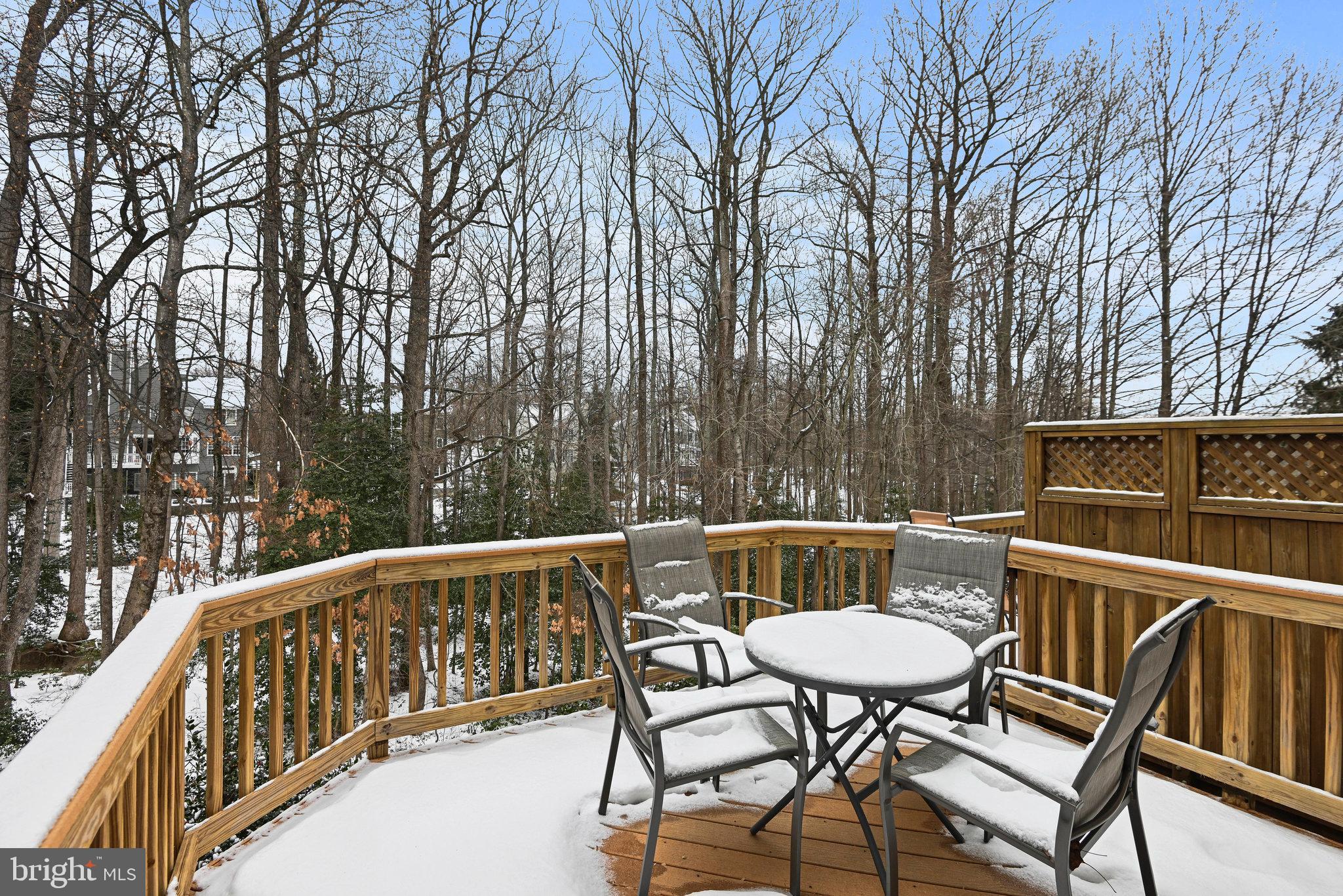 1271 Wild Hawthorn Way Reston, VA 20194 - Photo 21 of 55 Gallery Image 21