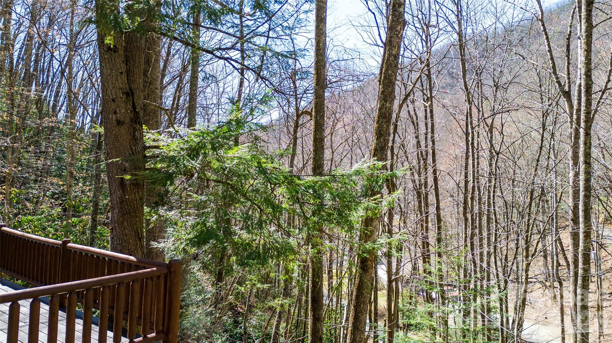 3458 Dicks Creek Road Whittier, NC 28789 - Photo 11 of 36