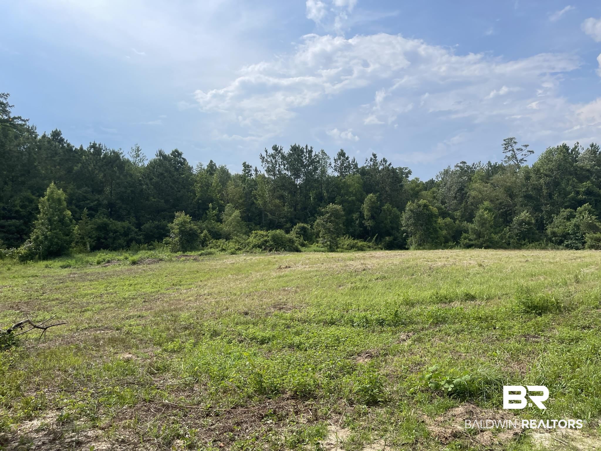 1 Highway 4 Jay, FL 32565 - Photo 29 of 50