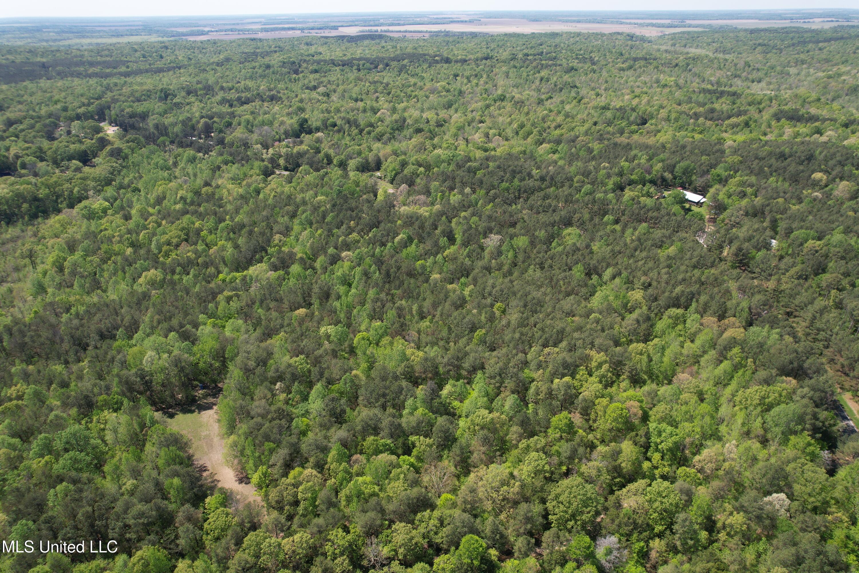 Holly Grove Cruger, MS 38924 - Photo 11 of 43 DJI_0695