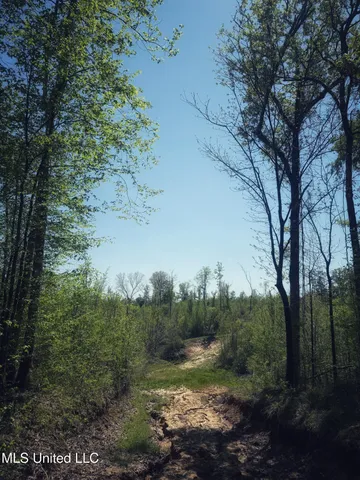 $282,700 | Holly Grove, Cruger, MS 38924