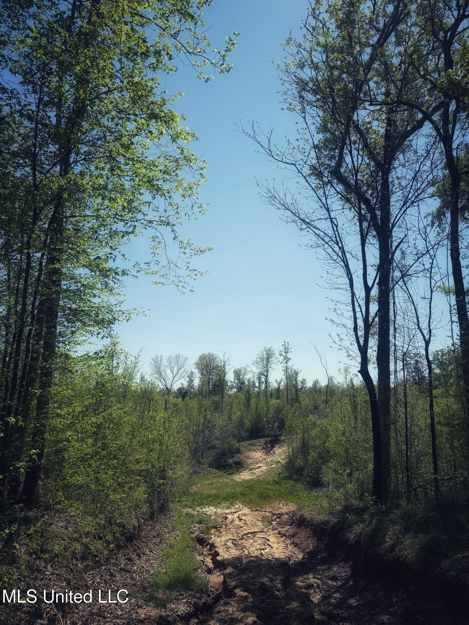 Holly Grove Cruger, MS 38924 - Photo 13 of 43 FullSizeRender-1