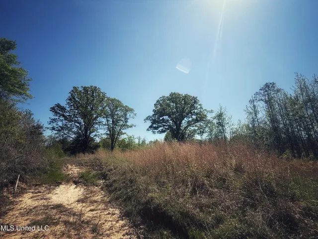 $282,700 | Holly Grove, Cruger, MS 38924