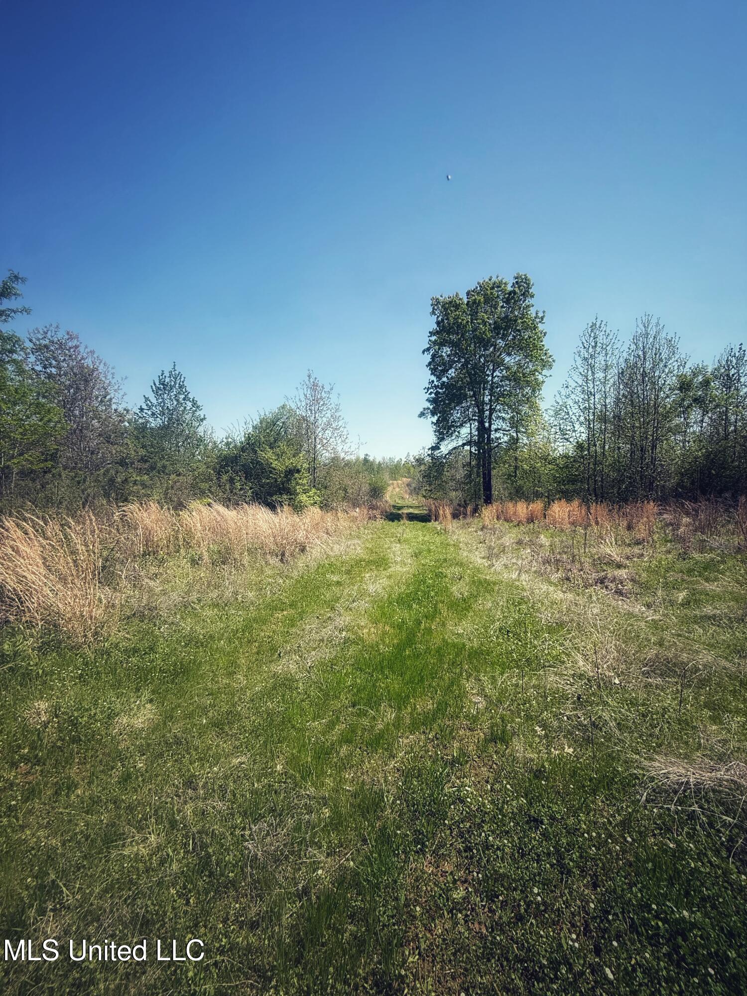 Holly Grove Cruger, MS 38924 - Photo 15 of 43 FullSizeRender-3