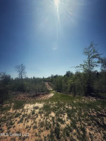 $282,700 | Holly Grove, Cruger, MS 38924