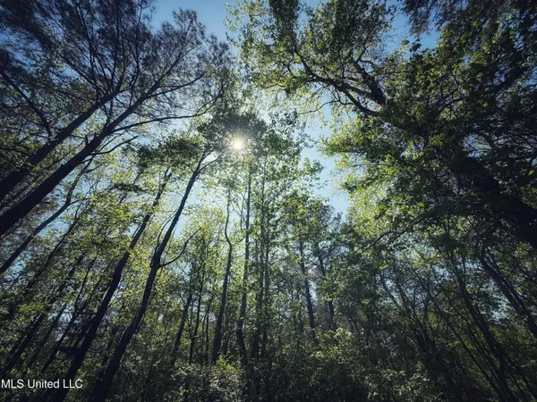 $282,700 | Holly Grove, Cruger, MS 38924