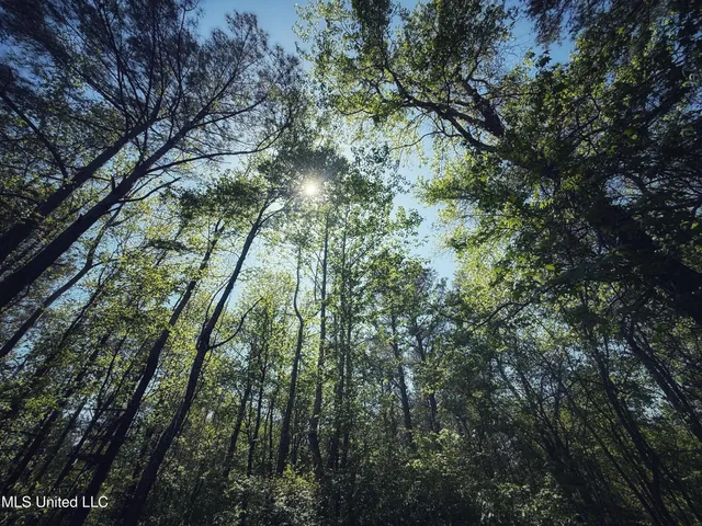 $282,700 | Holly Grove, Cruger, MS 38924