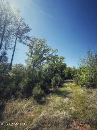 $282,700 | Holly Grove, Cruger, MS 38924