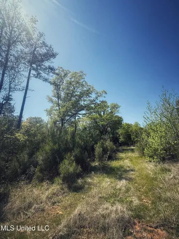 $282,700 | Holly Grove, Cruger, MS 38924