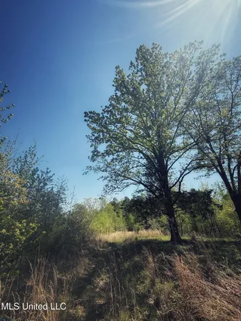 $282,700 | Holly Grove, Cruger, MS 38924