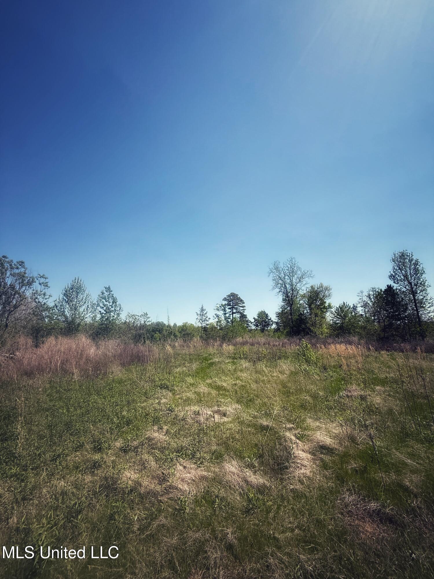 Holly Grove Cruger, MS 38924 - Photo 20 of 43 FullSizeRender-11