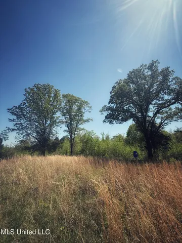 $282,700 | Holly Grove, Cruger, MS 38924