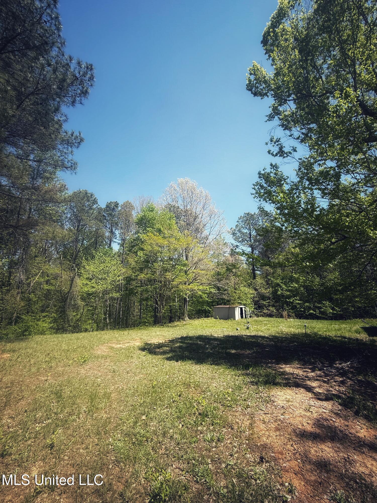 Holly Grove Cruger, MS 38924 - Photo 22 of 43 FullSizeRender-13