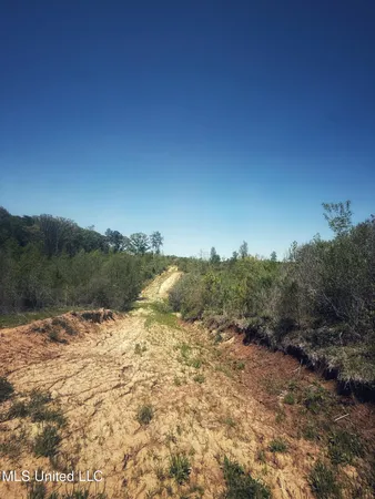 $282,700 | Holly Grove, Cruger, MS 38924